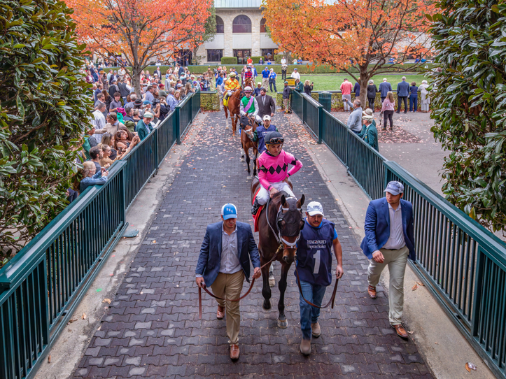 Owner’s Experience Tour